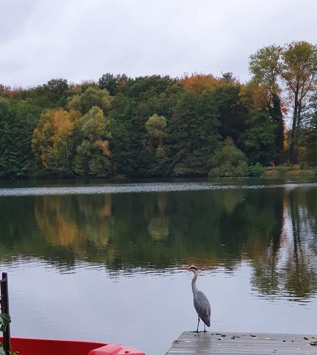 Café-Restaurant am Rubbenbruchsee