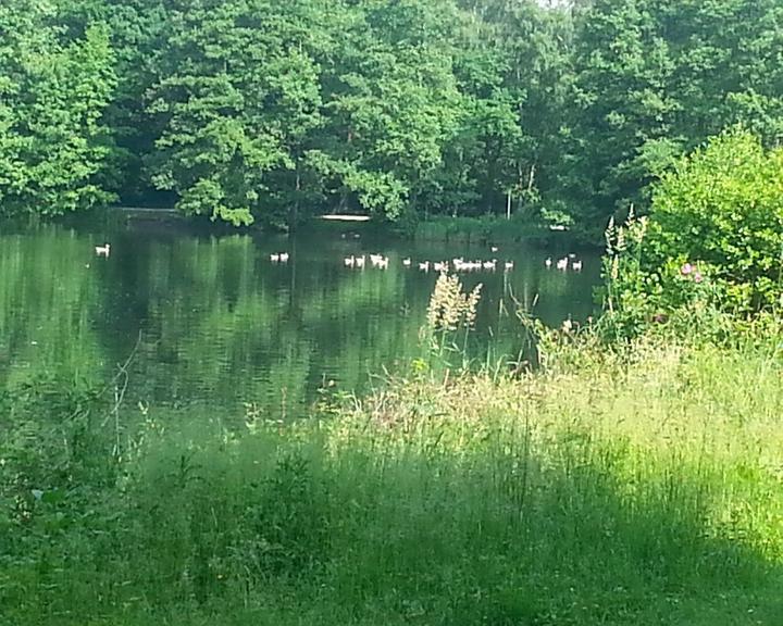 Café-Restaurant am Rubbenbruchsee