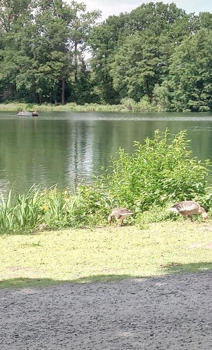 Café-Restaurant am Rubbenbruchsee