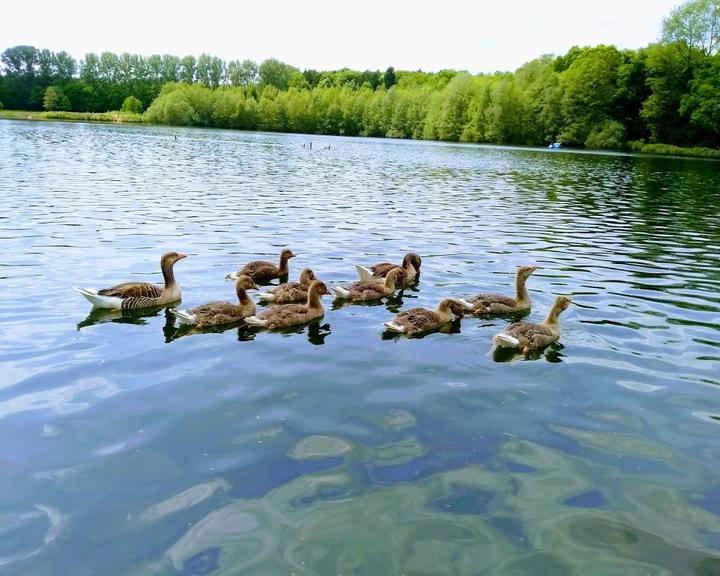 Café-Restaurant am Rubbenbruchsee